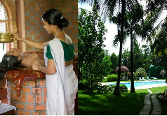 Wellness and Ayurveda Retreats